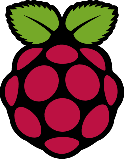 Raspberry Pi logo
